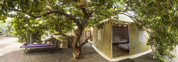 TPhantom-Tent (1)