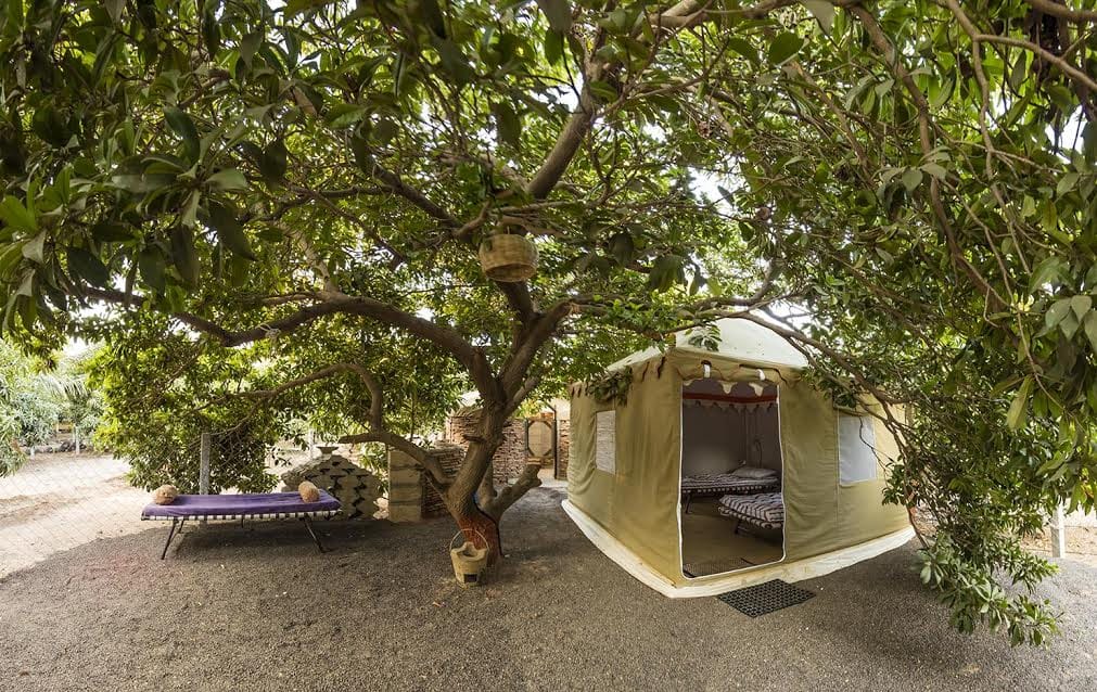 Farmstay Phantom Tent